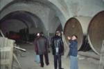Inside Winery