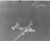 Rudys training aircraft